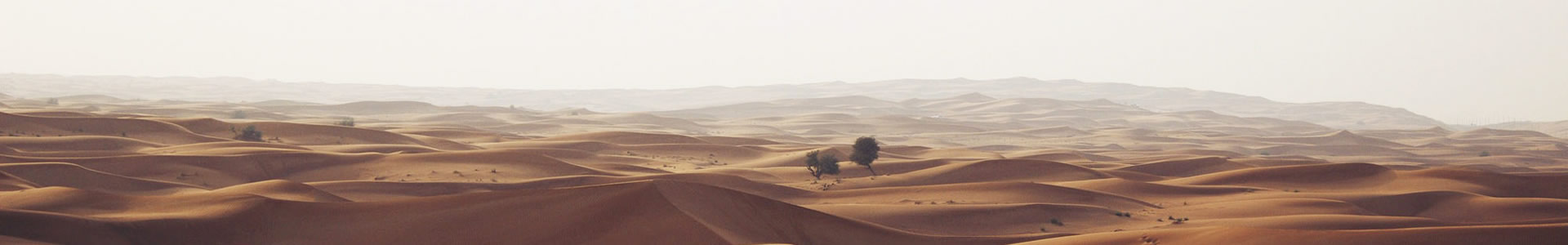 ݻʳƷ޹˾